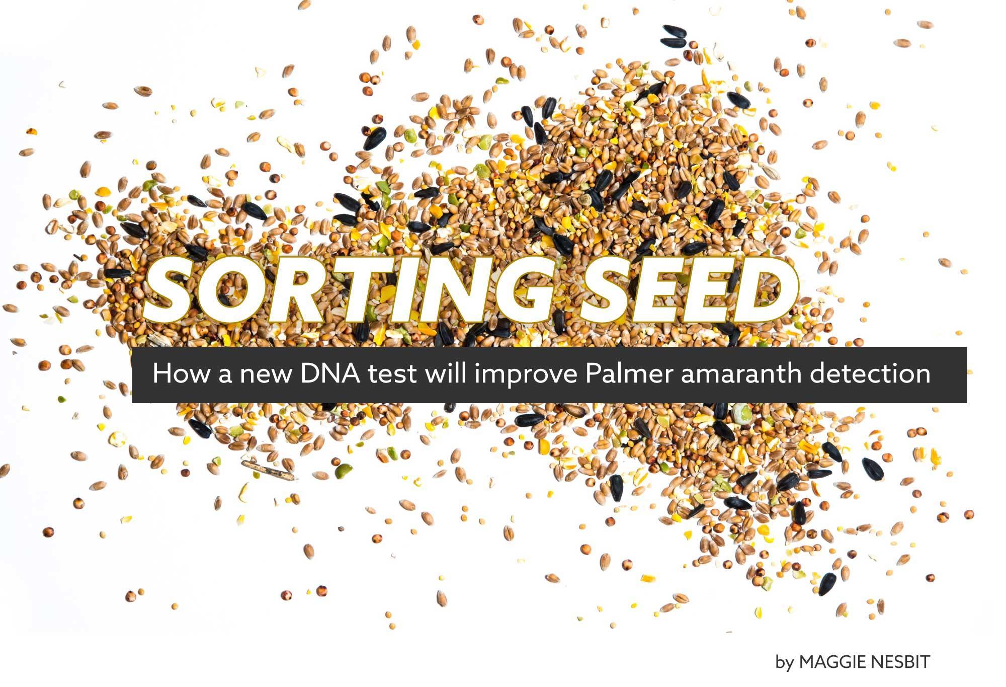 infographic of seeds with the text "sorting seeds"