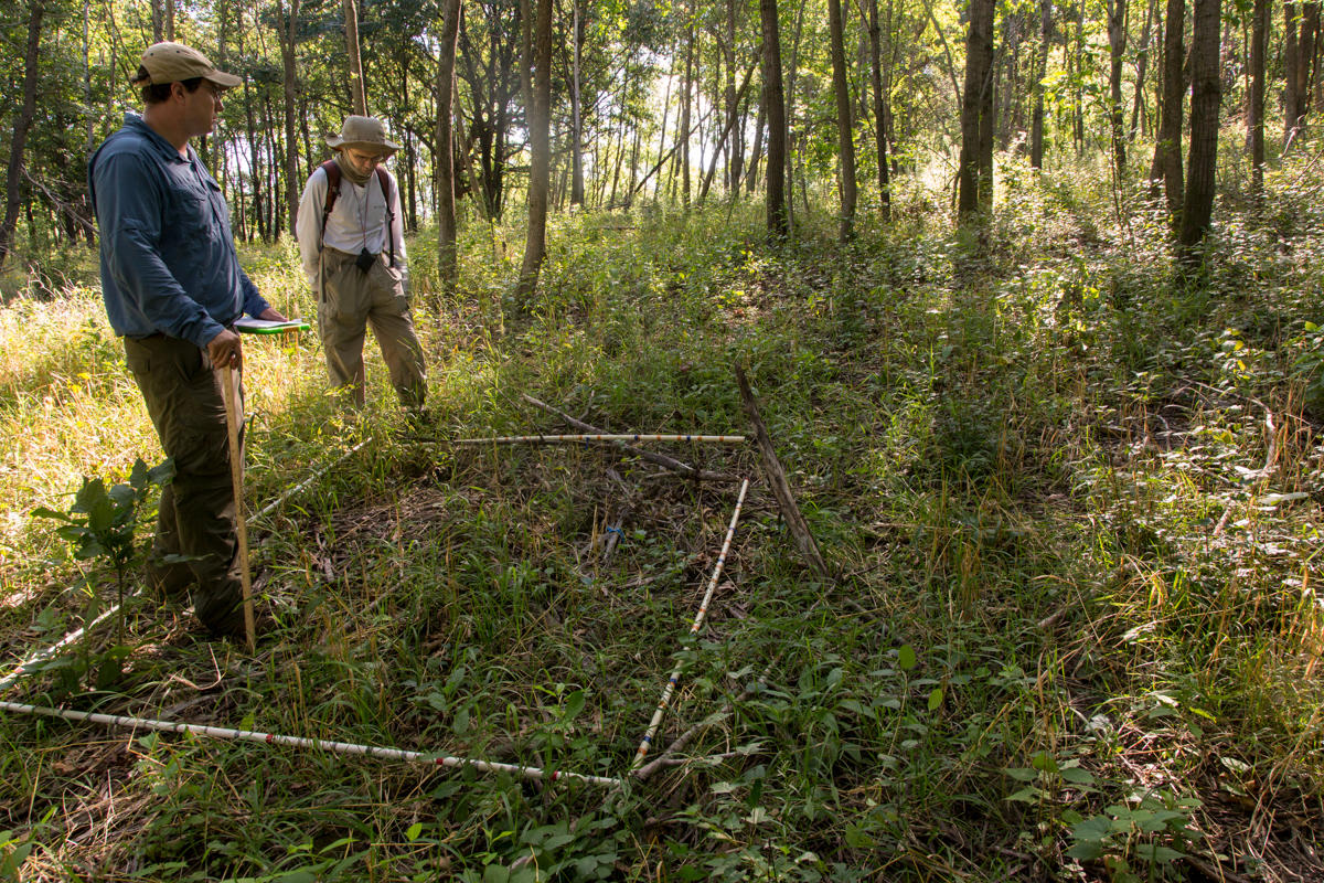 photograph of researchers observing a ground plot in a forest
