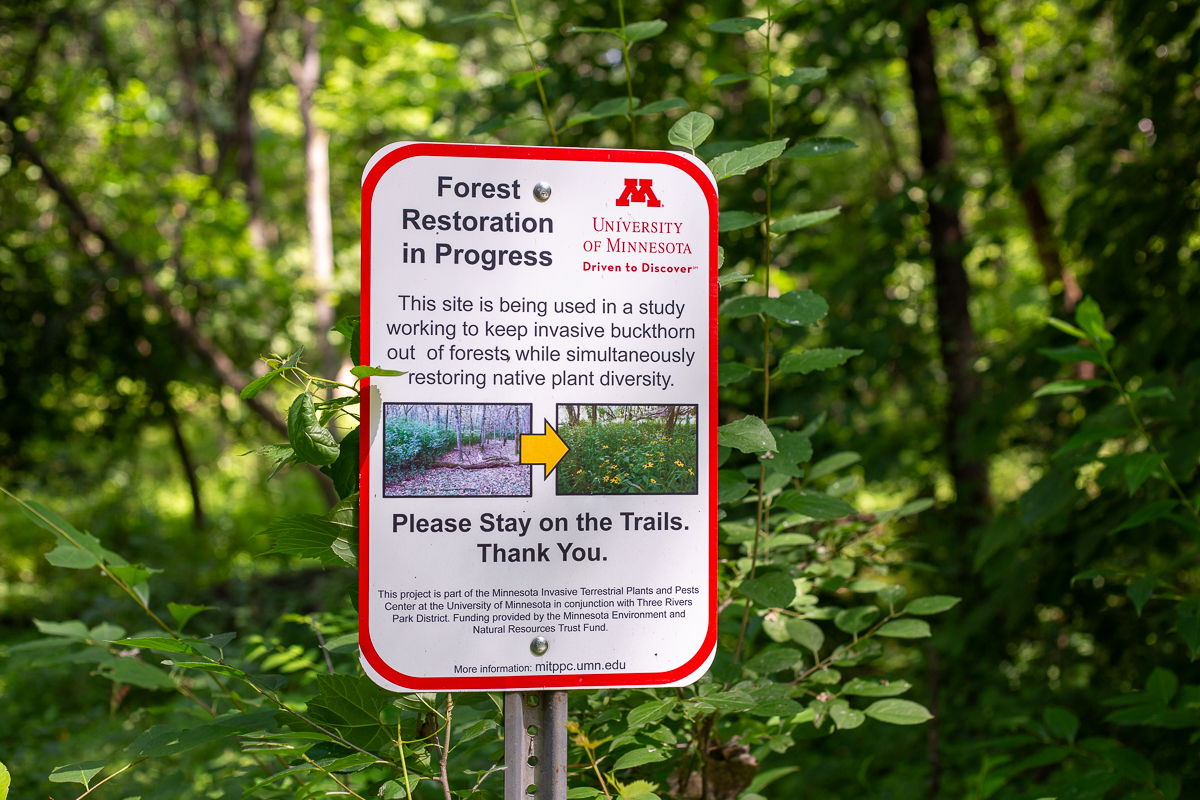 a sign in a forest about reforestation work in progress