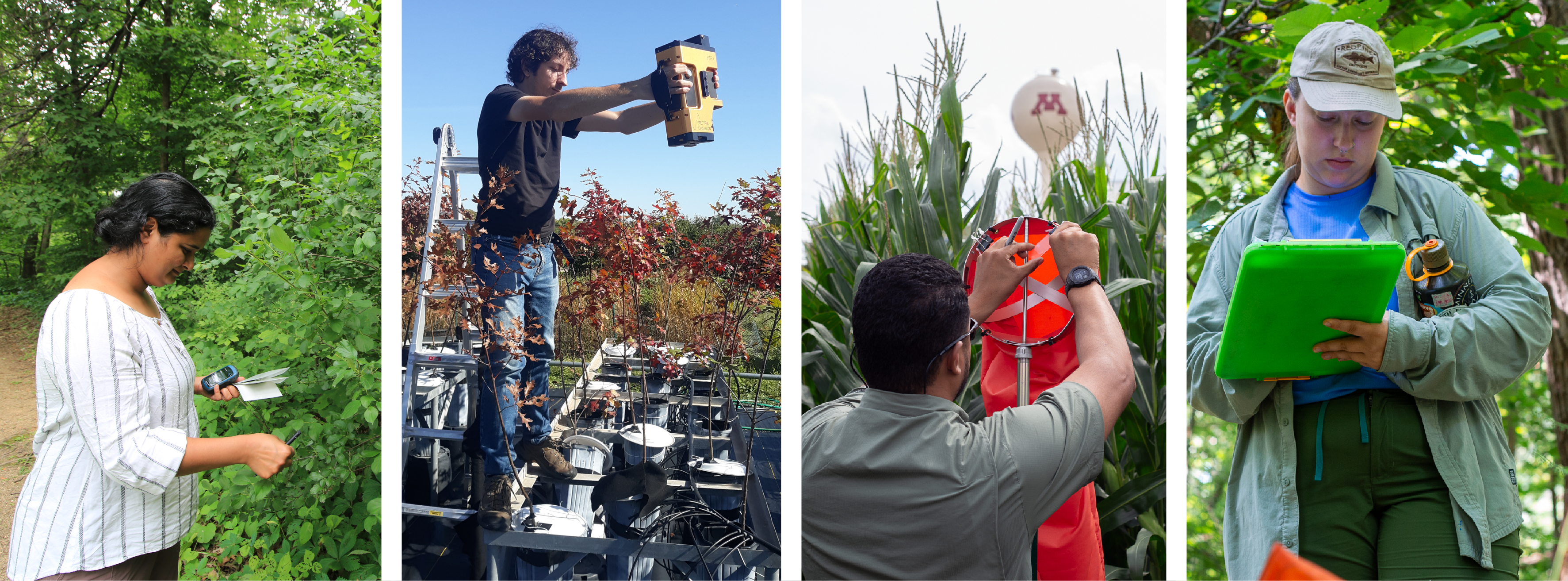 collage of four photos of plant researchers working in the field