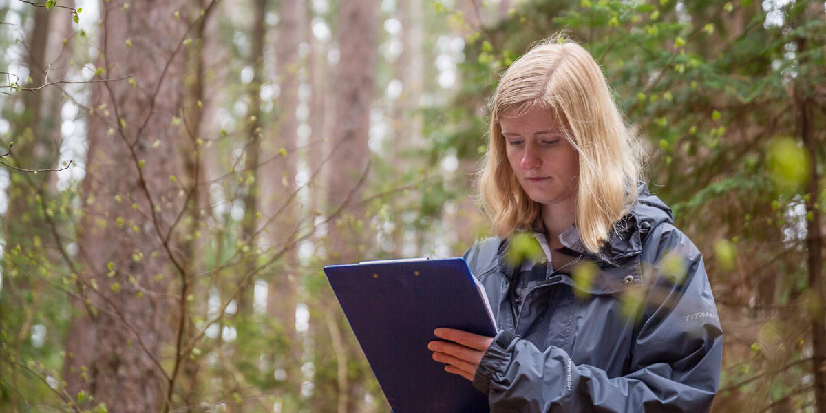photograph of a researcher in a forest working off a clipboard