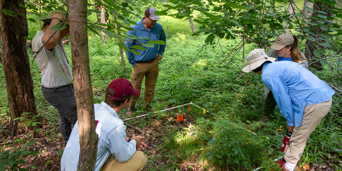 photo of research team surveying a small plot on a forest floor