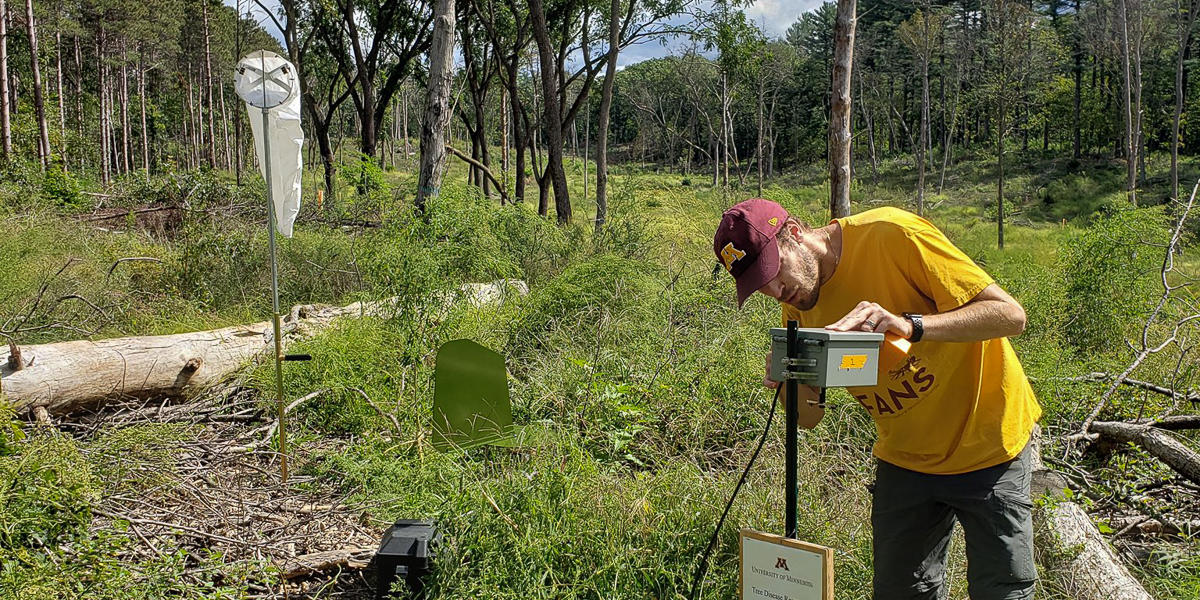 photo of researcher setting up a spore trap in a forest clearing