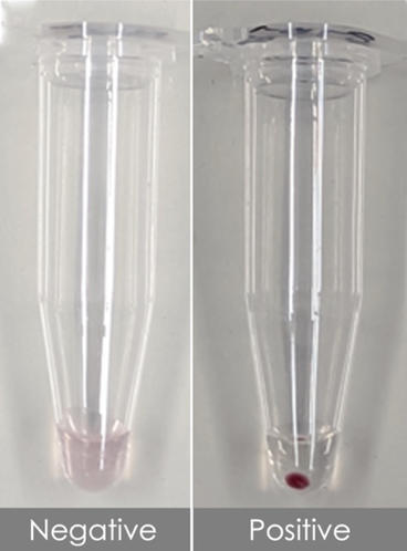 two test tubes that compare negative and positive results