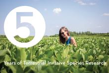 5 Years of Terrestrial Invasive Species Research