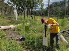 photo of researcher setting up a spore trap in a forest clearing