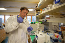 researcher in a lab coat in a lab with a test tube