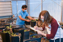 people working in a greenhouse with potted plants