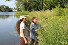 two people stand along a shoreline of invasive phragmites